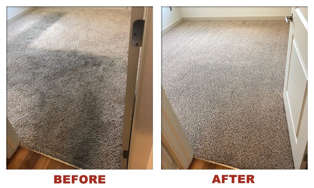 Carpet Cleaning in Calgary: Which Cleaning Your Carpet Needs, Costs and Expert Tips